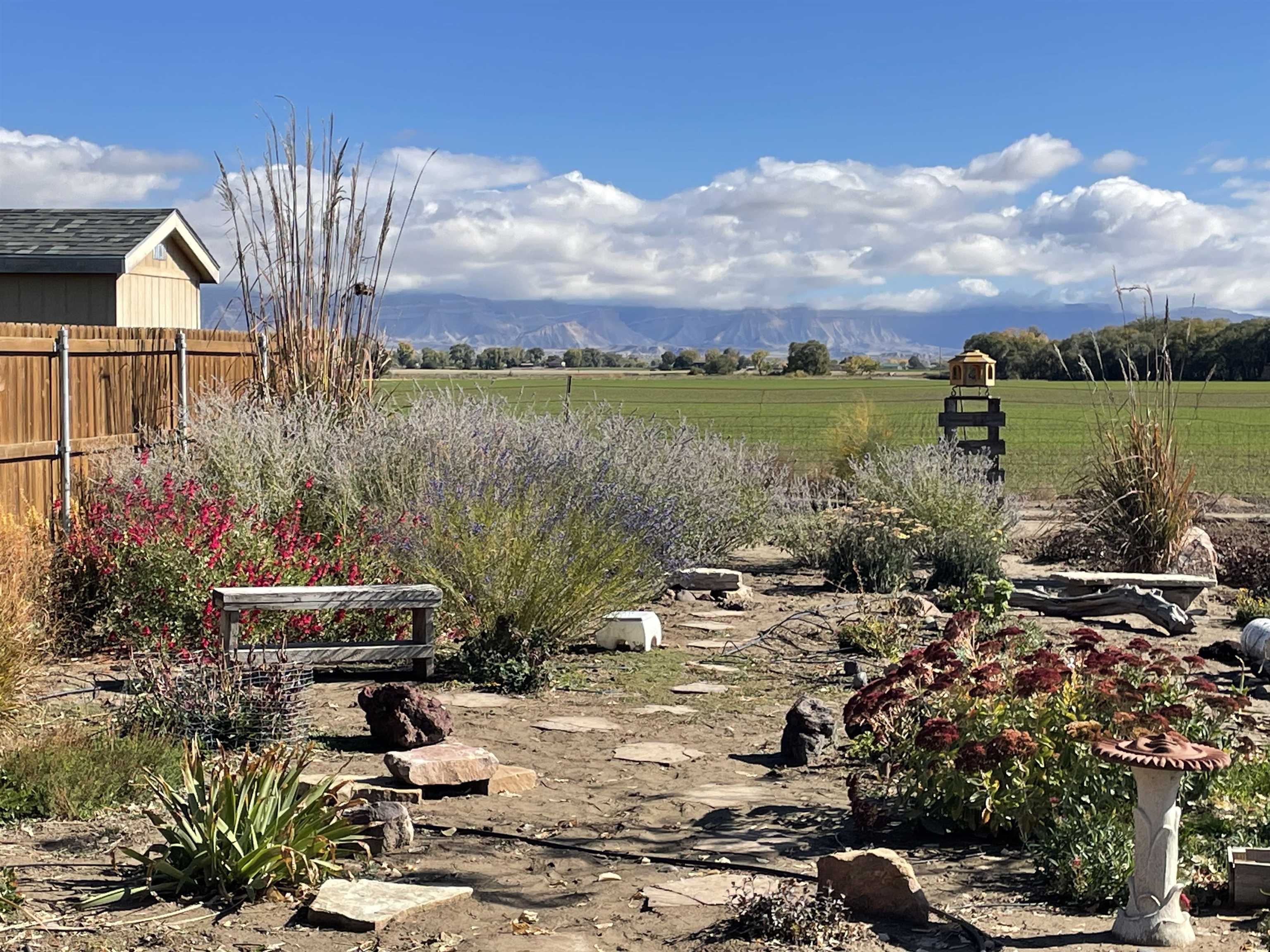 1166 Toscano Road Fruita, CO 81521 - Photo 34 of 42 Gallery Image 34