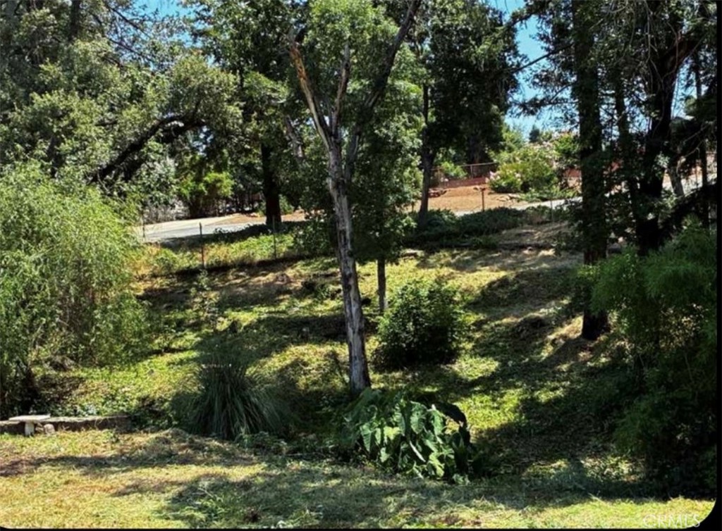 a view of a yard with large trees