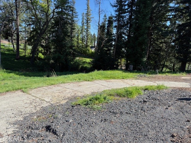 5432 Scottwood Road Paradise, CA 95969 - Photo 2 of 6 a view of a garden with large trees