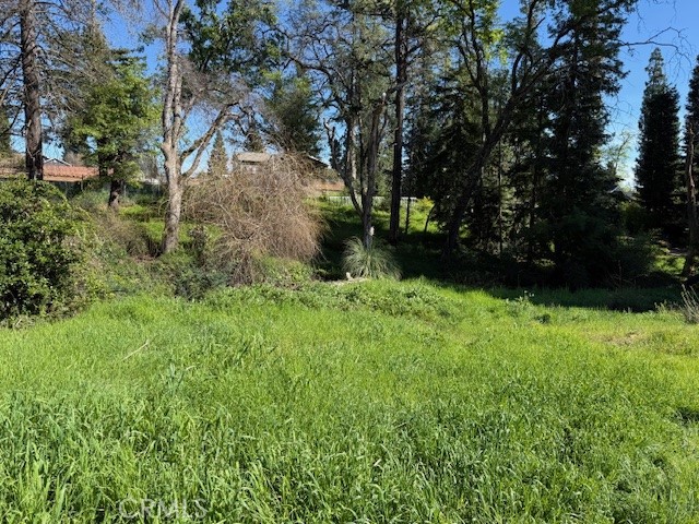 5432 Scottwood Road Paradise, CA 95969 - Photo 3 of 6 a view of yard with green space