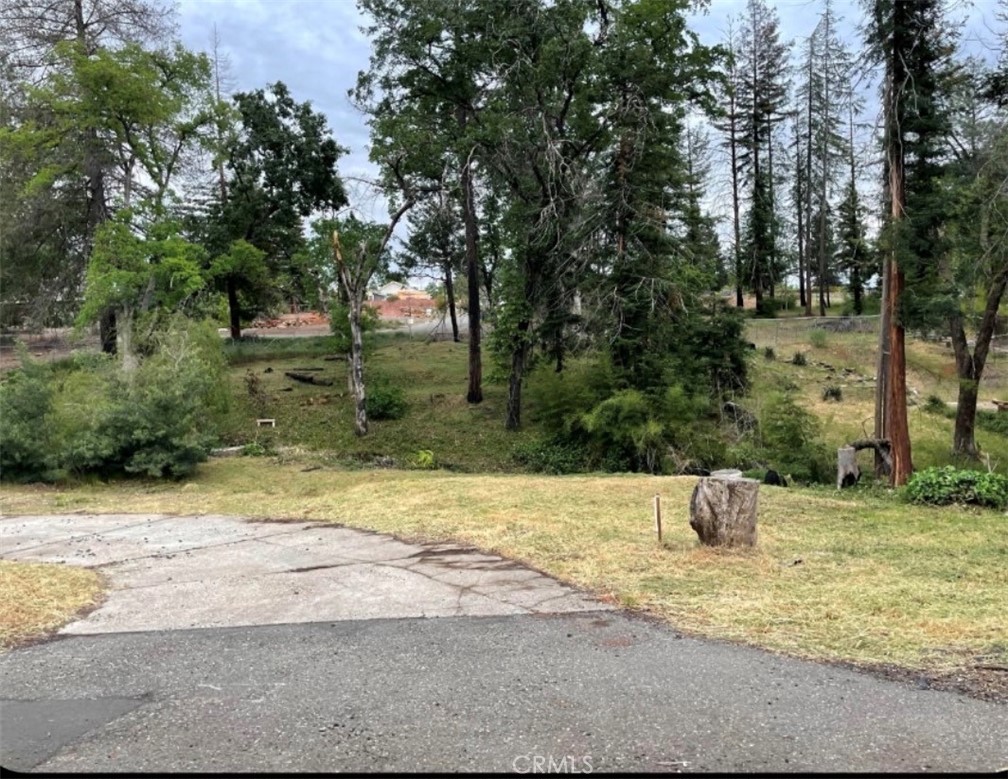5432 Scottwood Road Paradise, CA 95969 - Photo 6 of 6 a view of a yard