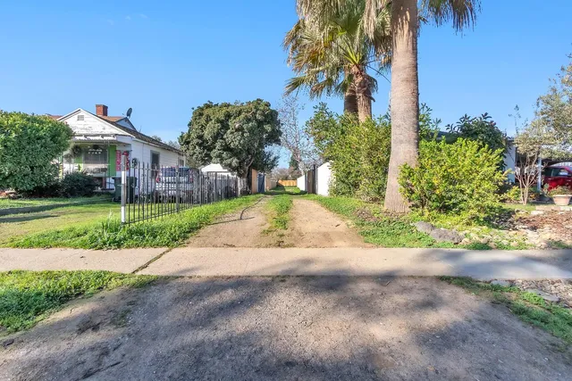 a view of a yard with plants and trees