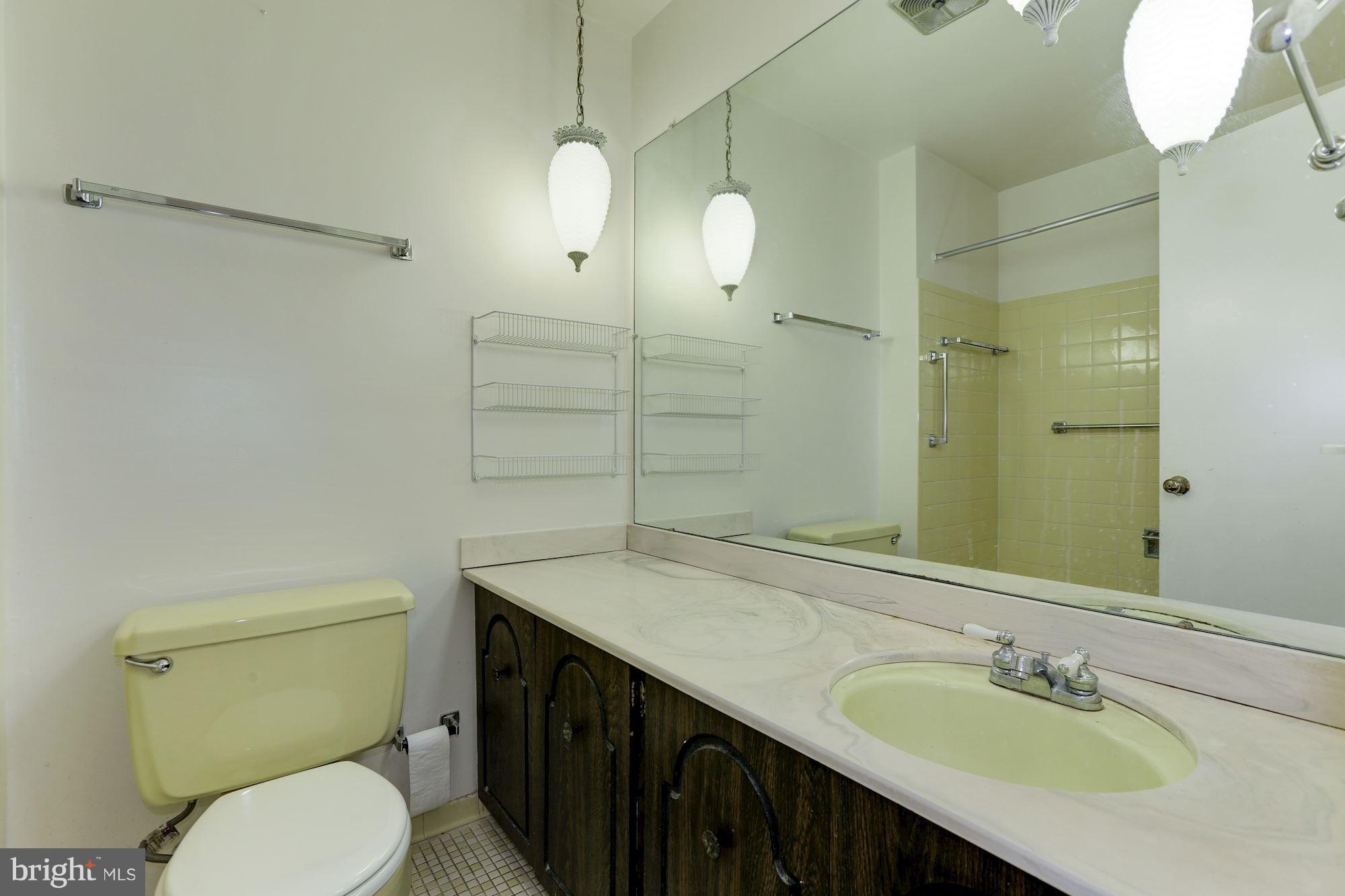 2704 Rambler Court Adelphi, MD 20783 - Photo 18 of 27 Bath
