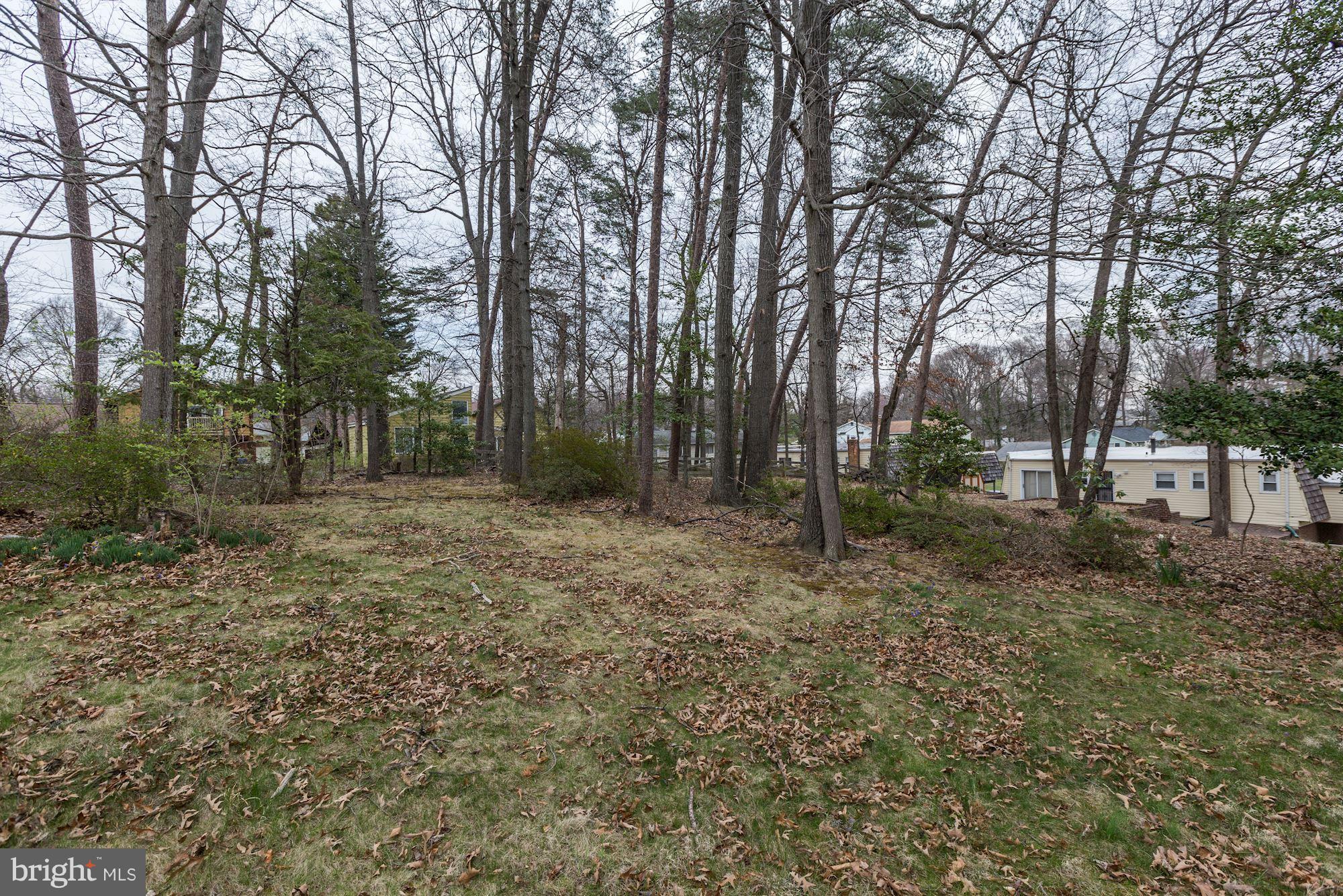 2704 Rambler Court Adelphi, MD 20783 - Photo 26 of 27 View