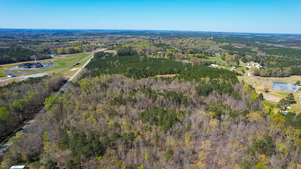 0 Harris Springs Road Waterloo, SC 29384 - Photo 4 of 5