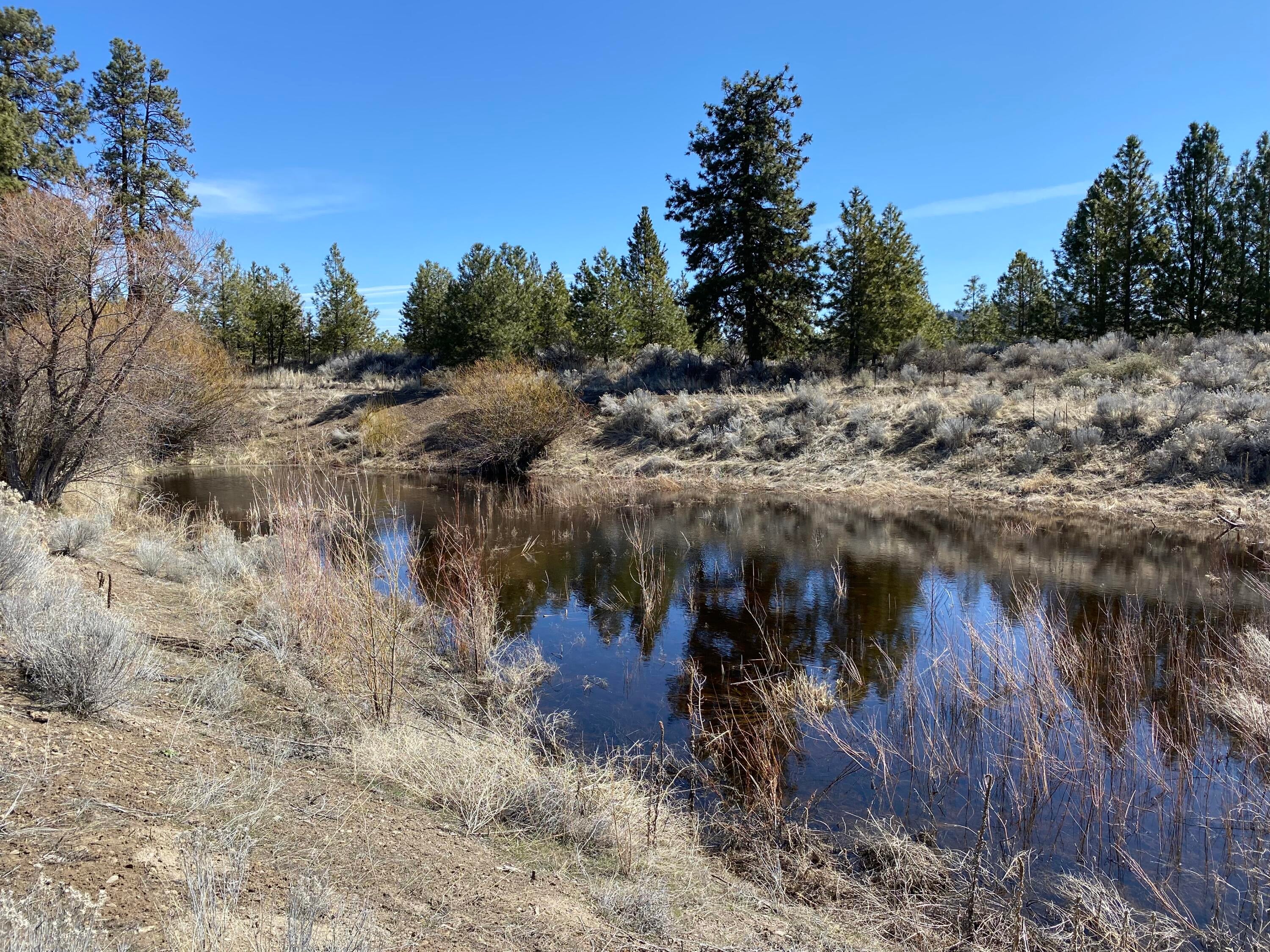 32227 Rivers Drive Chiloquin, OR 97624 - Photo 39 of 55 Year around/seasonal pond for your enjoyment!