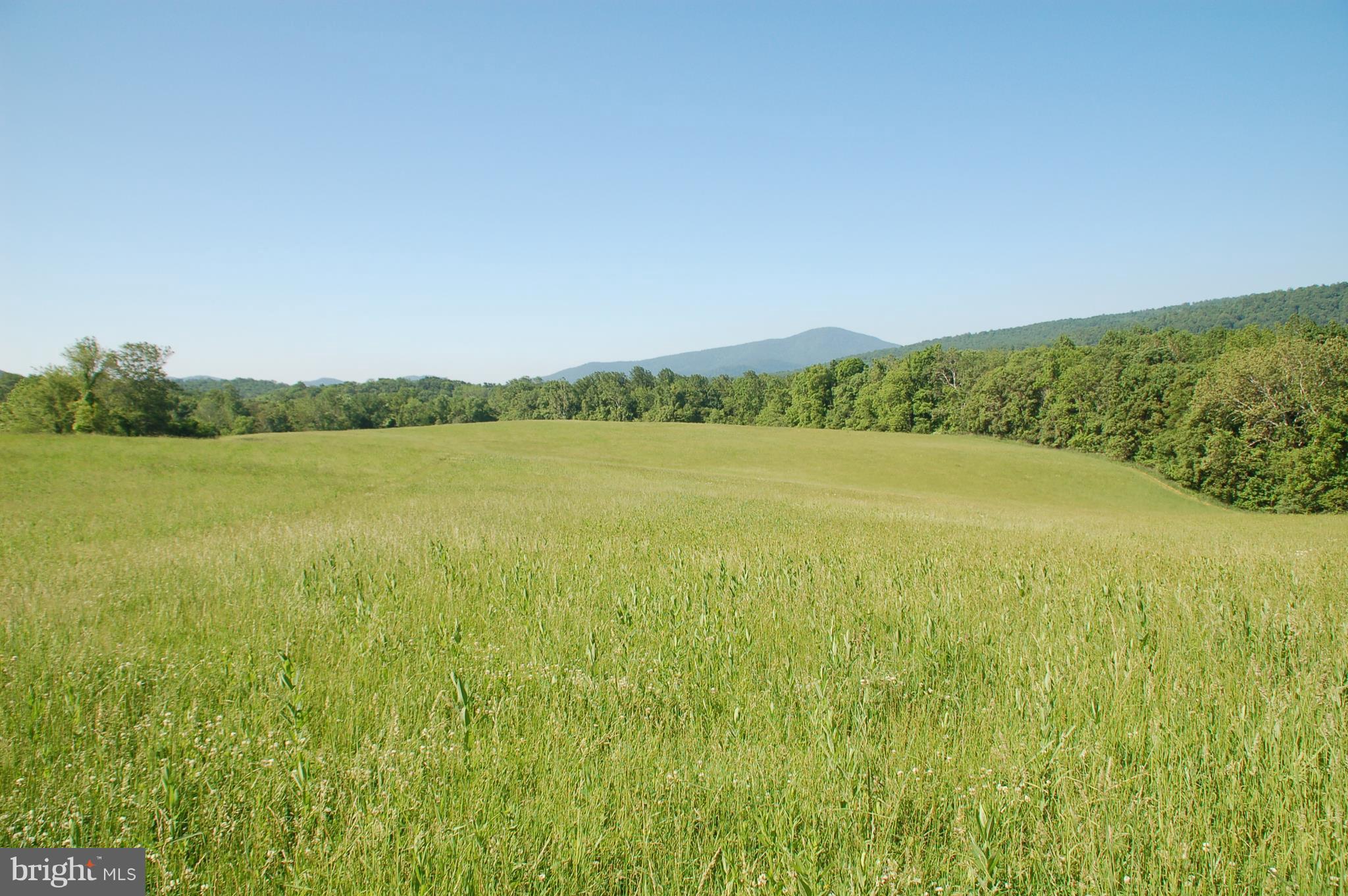 14282 Hume Road Hume, VA 22639 - Photo 1 of 3 View