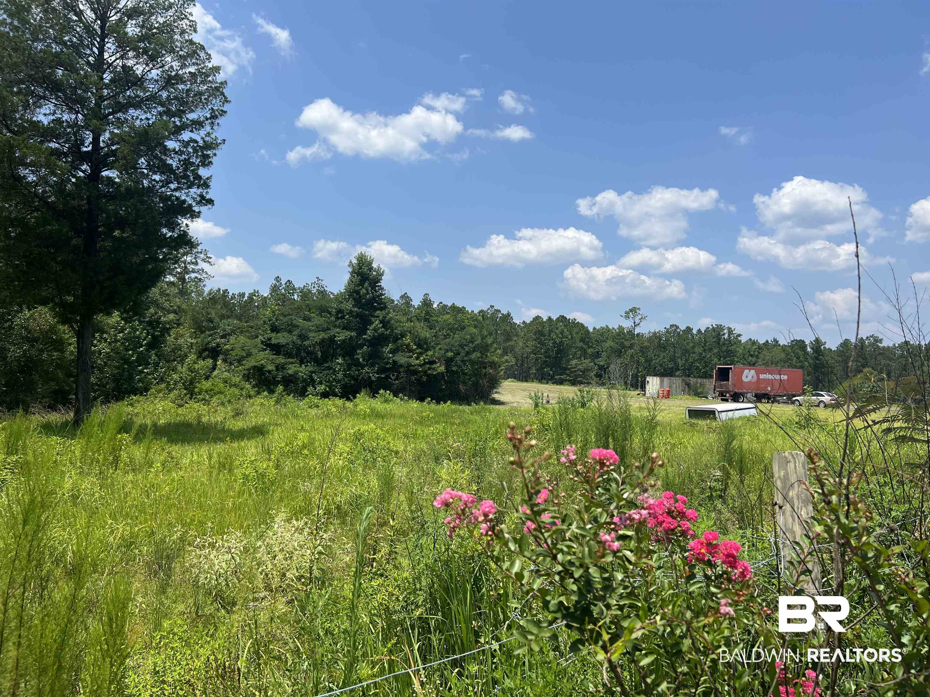 0 Beverly Jefferies Highway Citronelle, AL 36522 - Photo 14 of 19