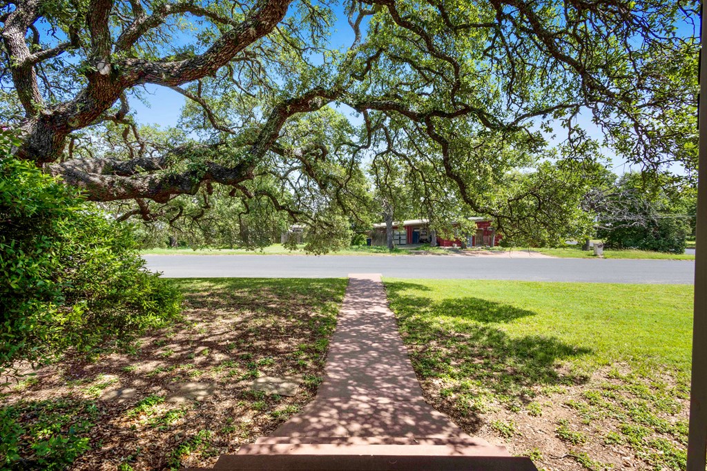207 East Walnut Street Fredericksburg, TX 78624 - Photo 39 of 42 a view of yard with tree
