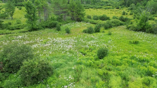 $65,000 | 243 Waterville Road, Belfast, ME 04915