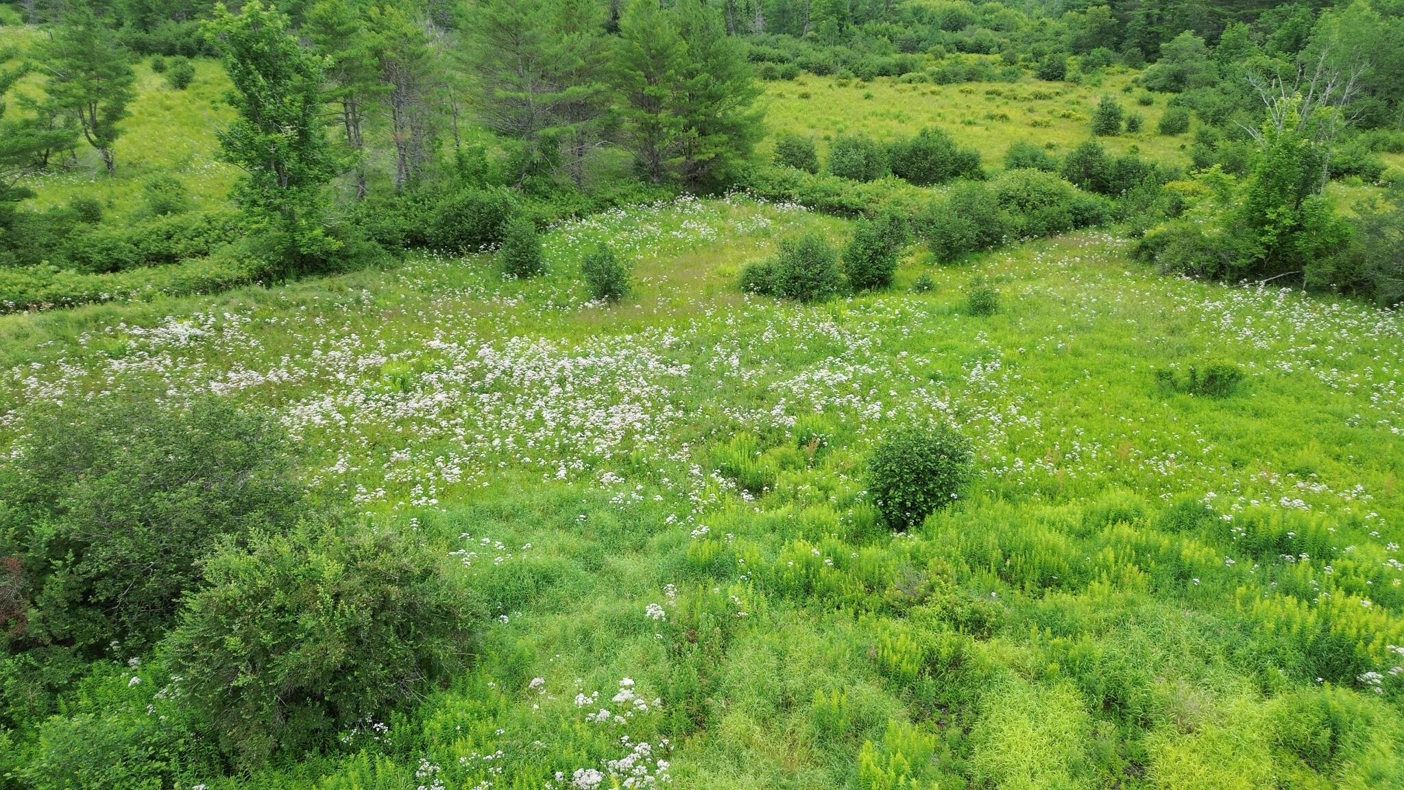 243 Waterville Road Belfast, ME 04915 - Photo 6 of 8 9