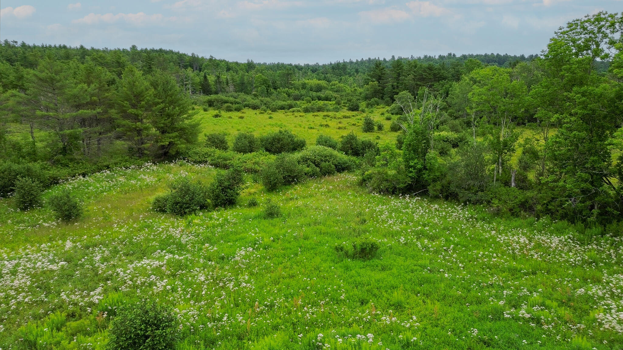 243 Waterville Road Belfast, ME 04915 - Photo 7 of 8 4