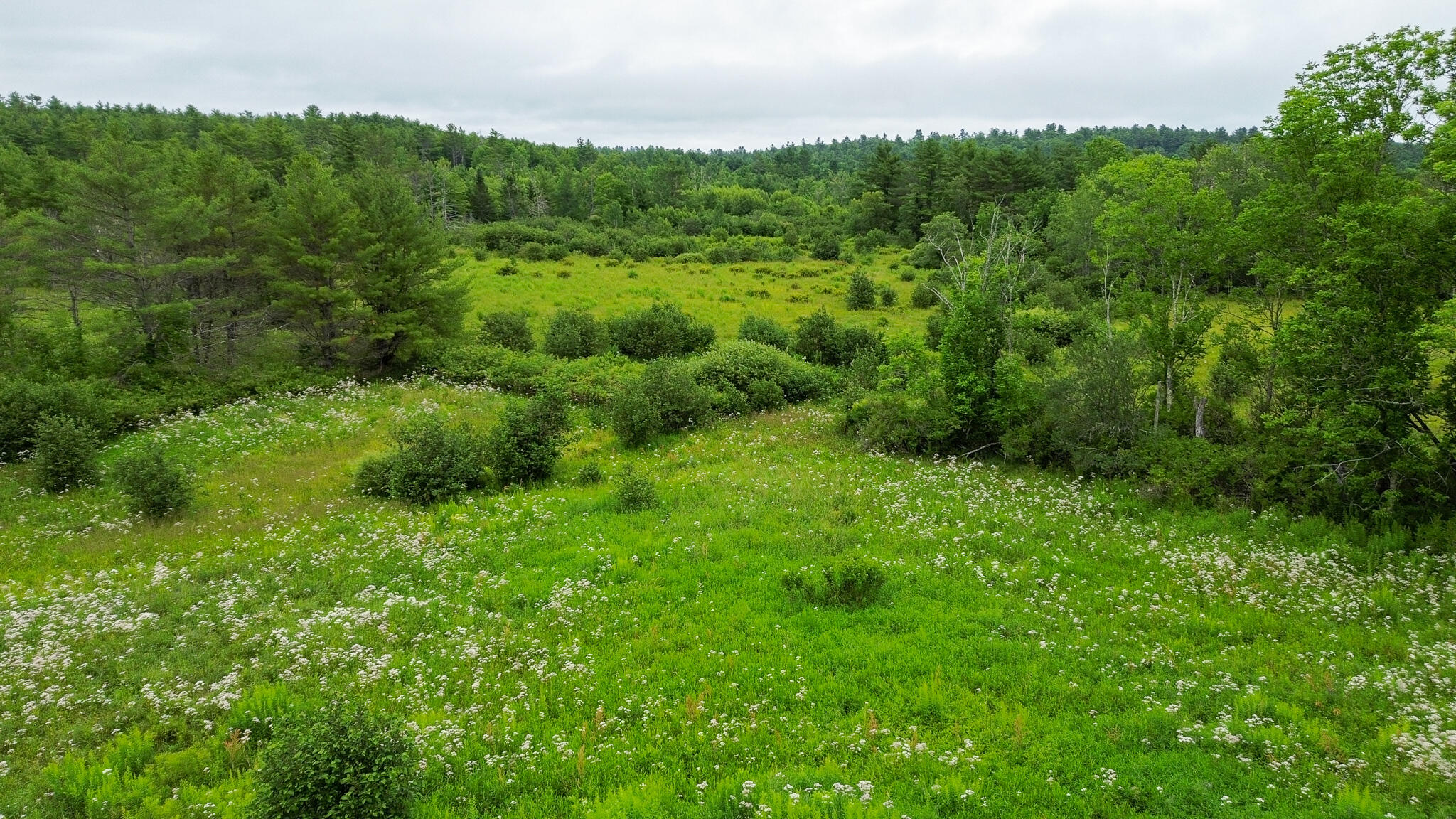 243 Waterville Road Belfast, ME 04915 - Photo 8 of 8 14