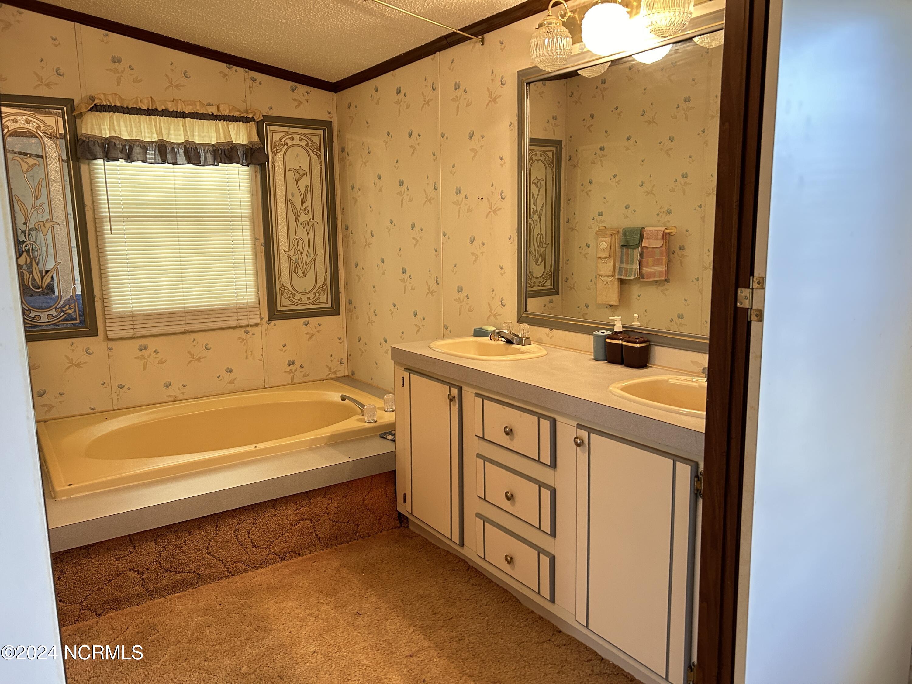 1264 Wade Road Scotland Neck, NC 27874 - Photo 23 of 46 ensuite, double vaniety, soaking tub