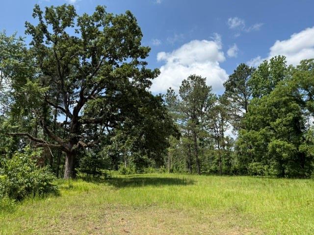 0 Marsalis Road Arcadia, LA 71001 - Photo 5 of 16