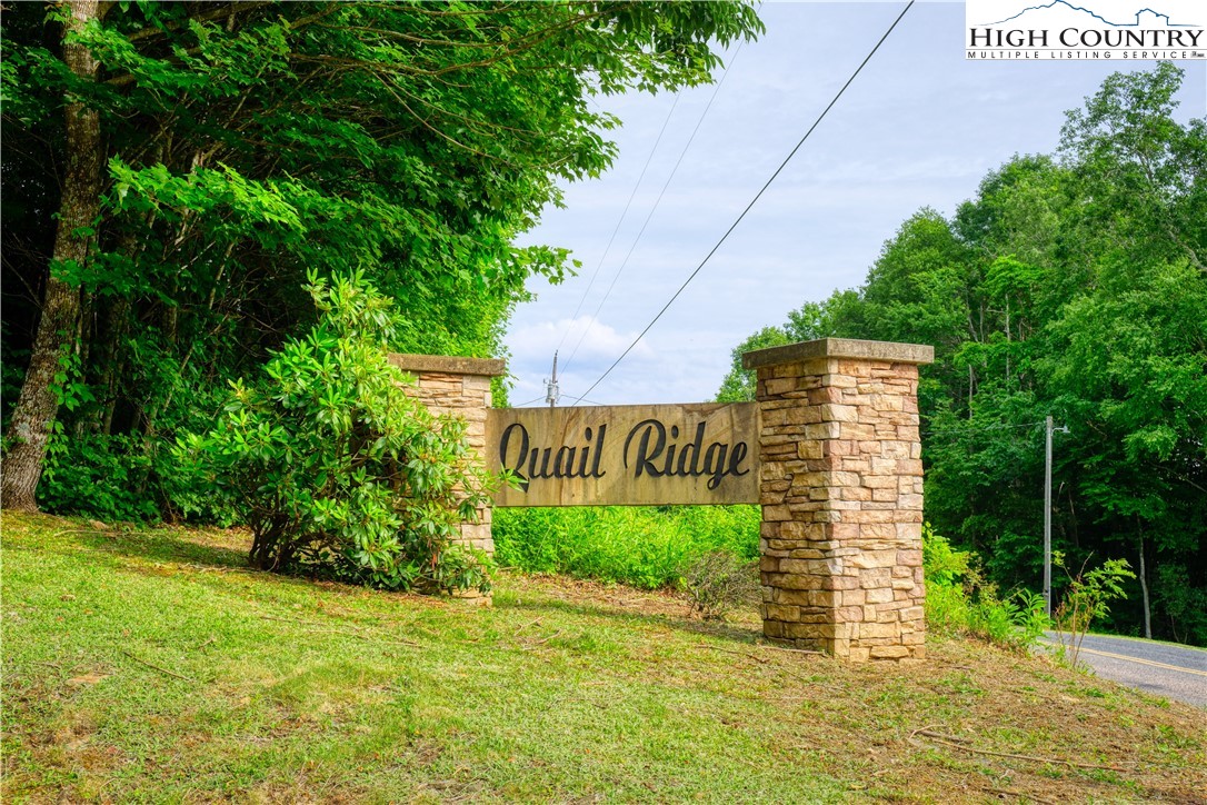 Lot 27 Quail Ridge Drive Fleetwood, NC 28626 - Photo 2 of 12