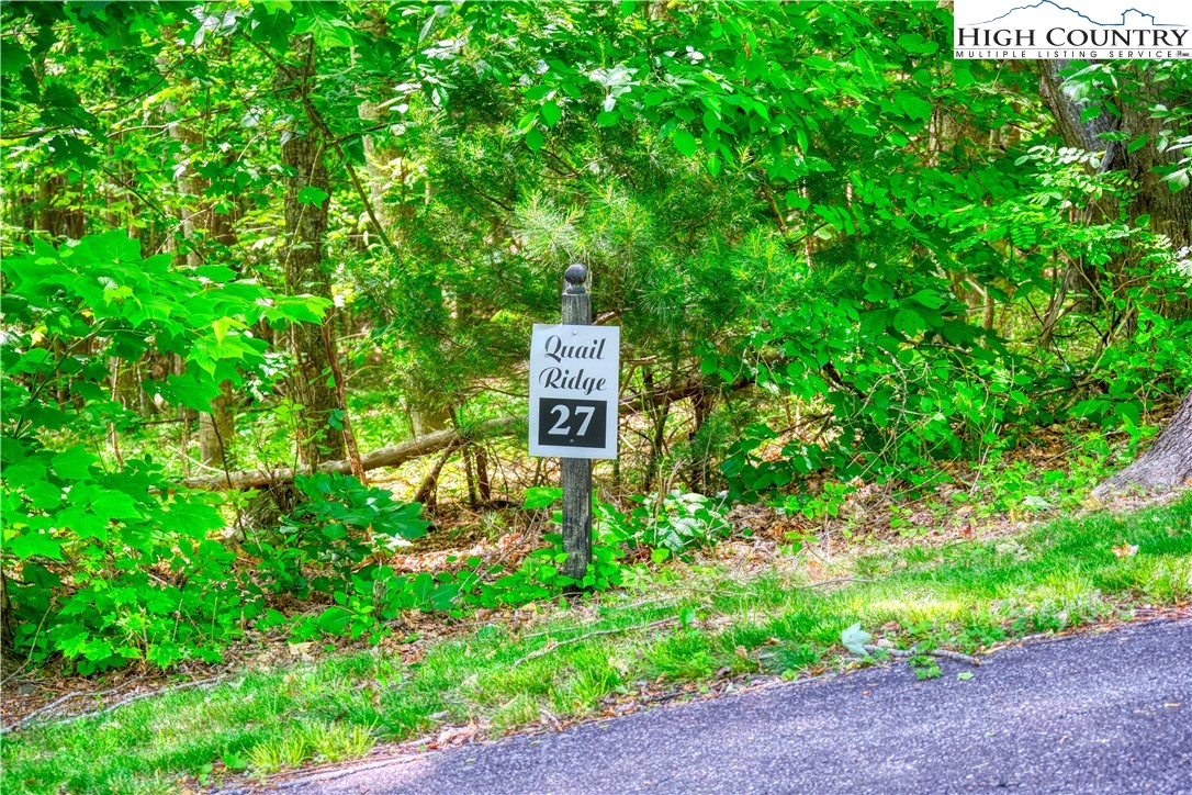 Lot 27 Quail Ridge Drive Fleetwood, NC 28626 - Photo 3 of 12