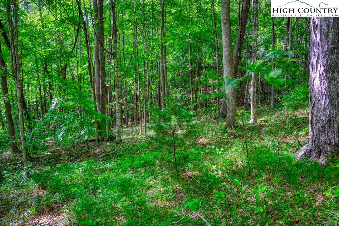 Lot 27 Quail Ridge Drive Fleetwood, NC 28626 - Photo 5 of 12