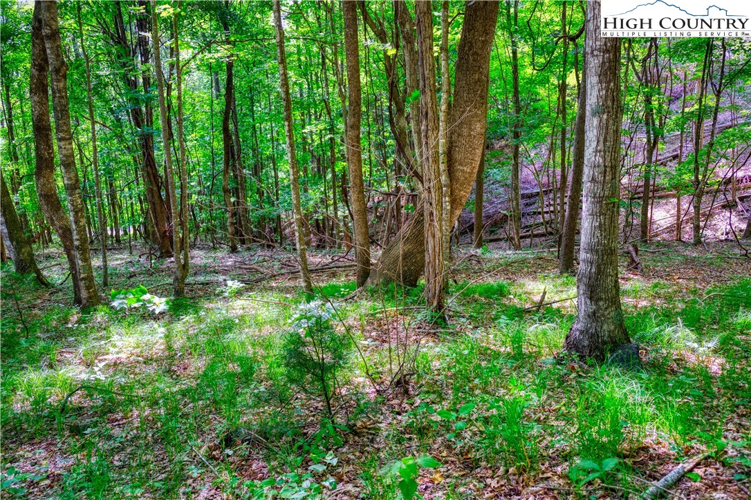 Lot 27 Quail Ridge Drive Fleetwood, NC 28626 - Photo 9 of 12