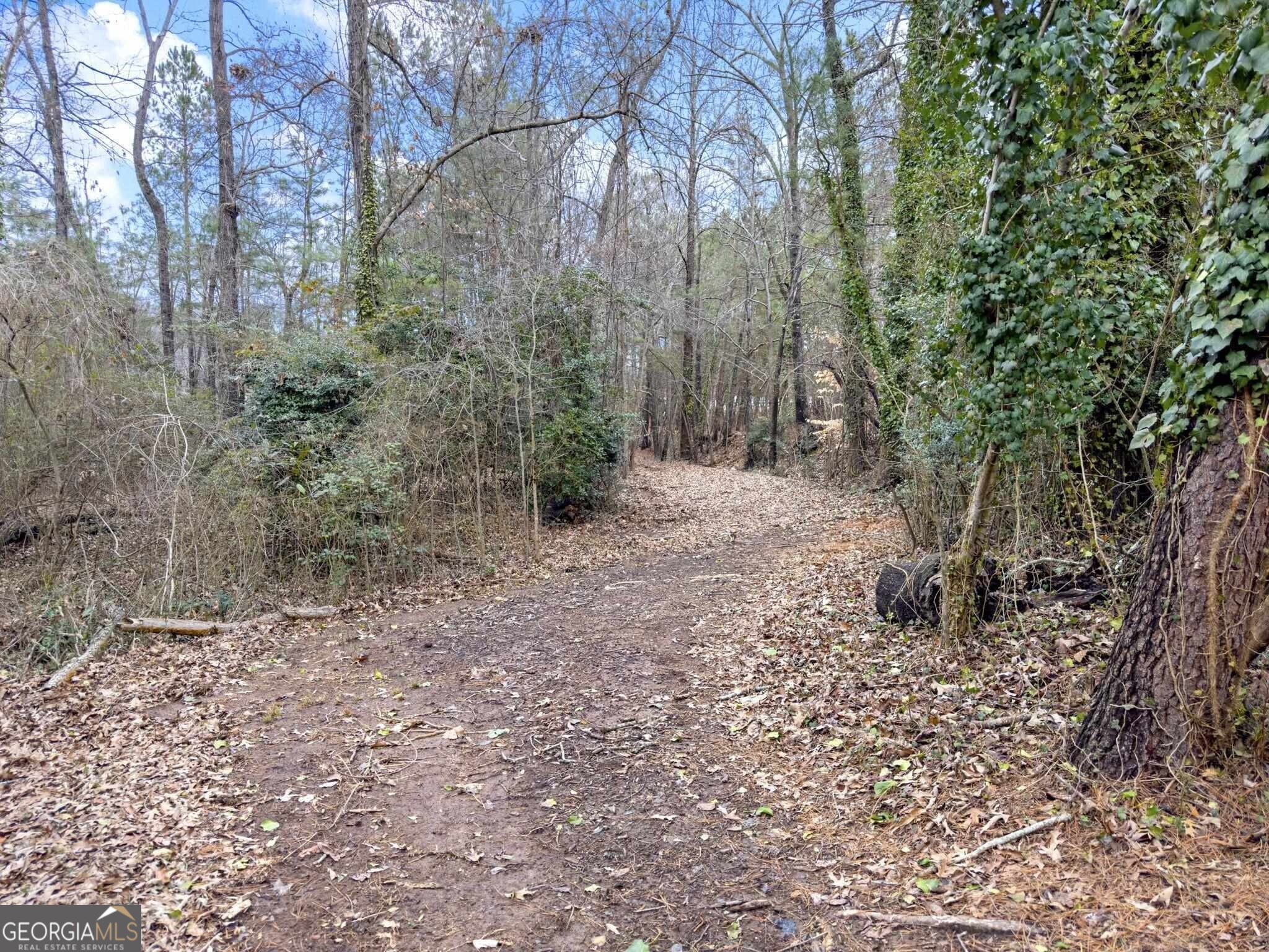 175 Thompson Place Gainesville, GA 30506 - Photo 31 of 32 a backyard of a house with lots of green space