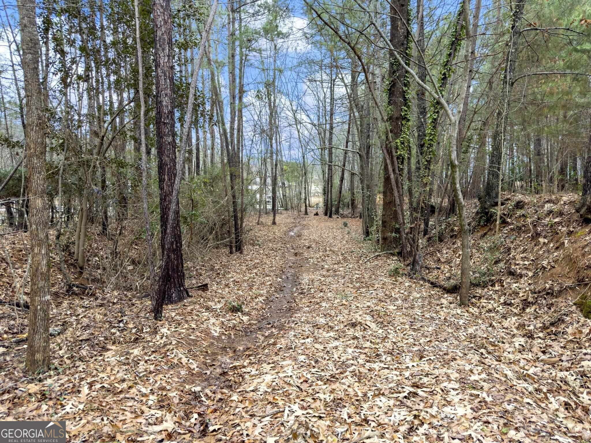 175 Thompson Place Gainesville, GA 30506 - Photo 32 of 32 a view of a forest with trees in the background