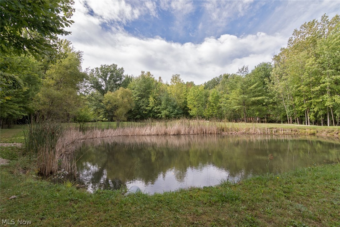 29302 White Road Wickliffe, OH 44092 - Photo 34 of 35 Gallery Image 34