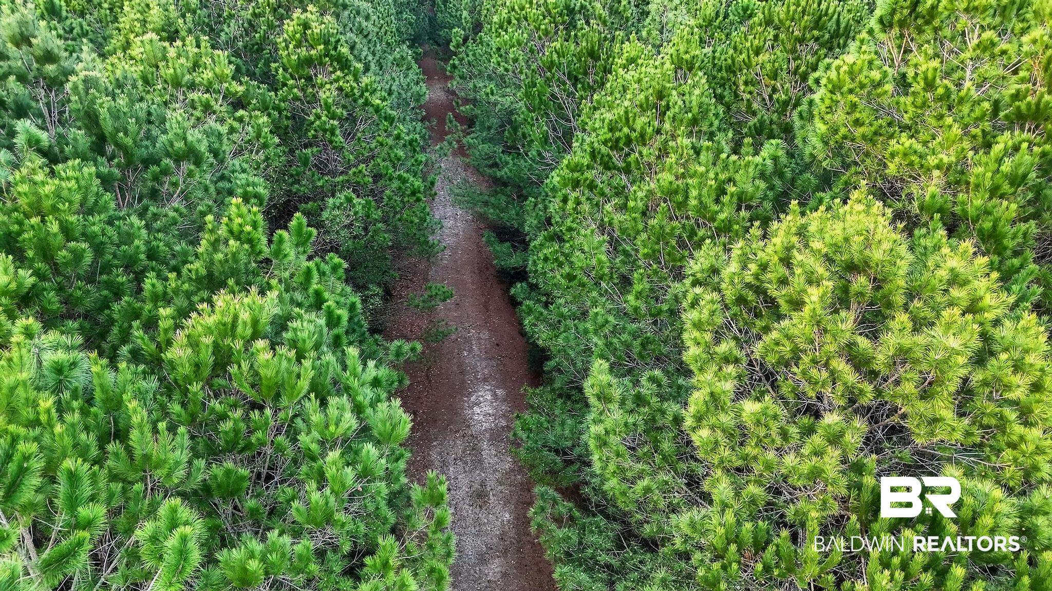 0 Hemley Road Bayou La Batre, AL 36509 - Photo 11 of 28