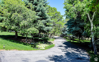 578 High Bench Road Alpine, UT 84004 - Photo 12 of 39 Asphalt driveway bordered by mature trees and manicured lawns