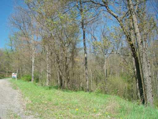 Lot 10 West Lancaster Road Harmony, PA 16037 - Photo 2 of 6 Other.