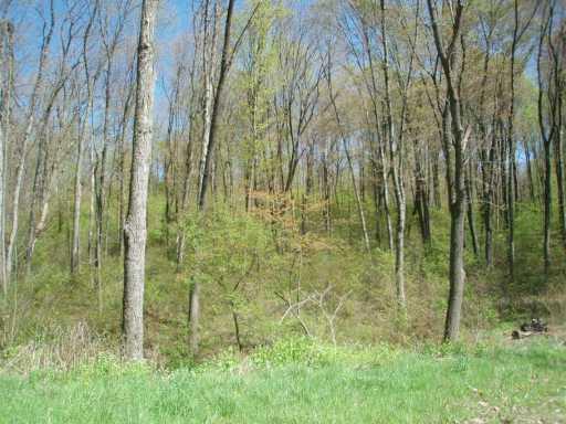 Lot 10 West Lancaster Road Harmony, PA 16037 - Photo 3 of 6 Other.