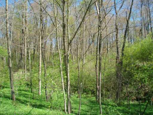Lot 10 West Lancaster Road Harmony, PA 16037 - Photo 4 of 6 Other.