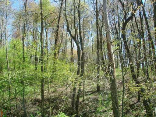 Lot 10 West Lancaster Road Harmony, PA 16037 - Photo 5 of 6 Other.