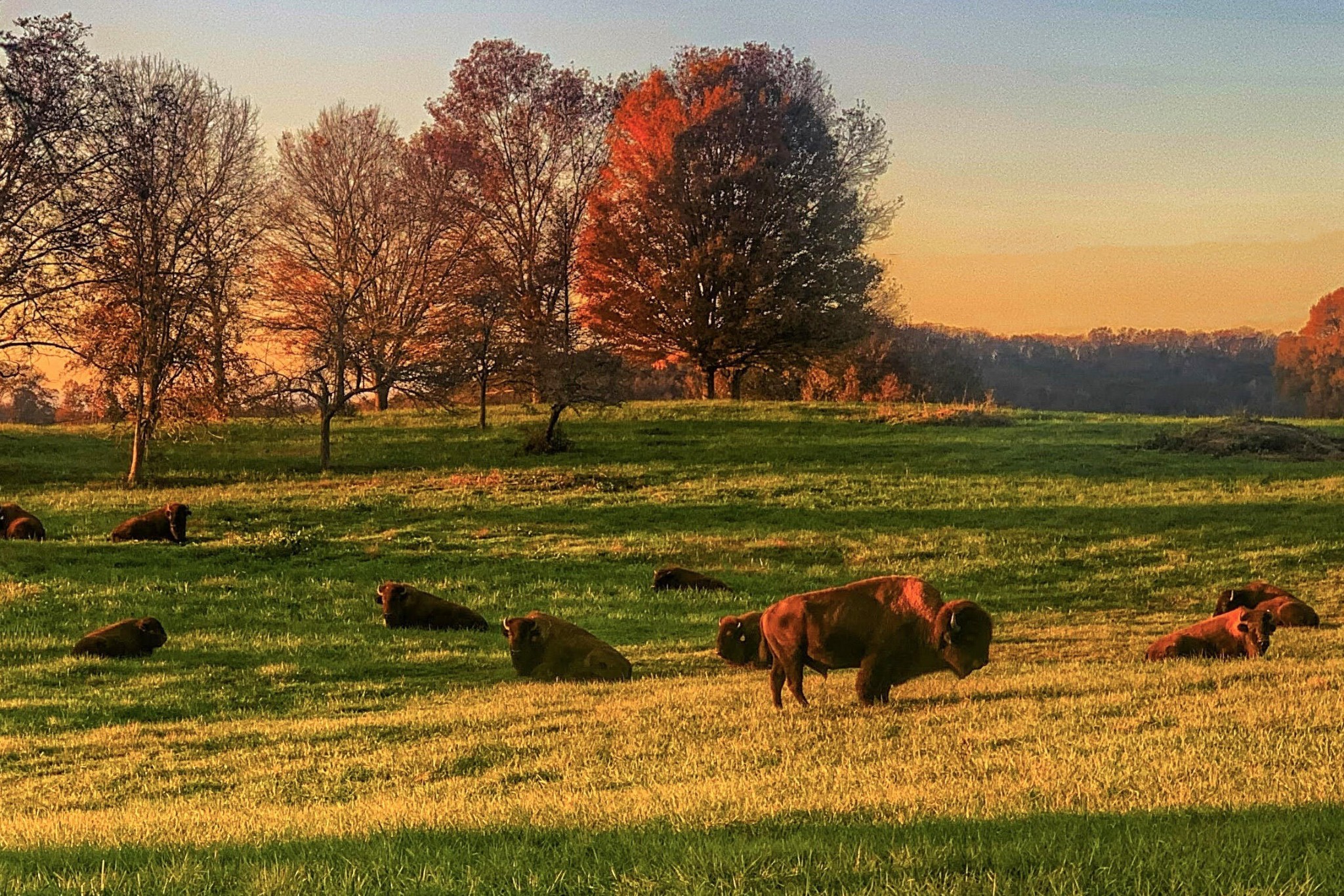 6019 Blue Springs Road Cleveland, TN 37311 - Photo 5 of 100 Gallery Image 5