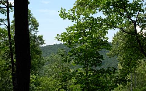 137 Trina Lane Blue Ridge, GA 30513 - Photo 1 of 1 Main View
