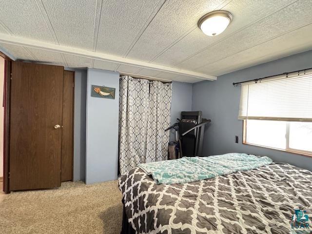 5165 Howard Gnesen Road Duluth, MN 55803 - Photo 14 of 20
