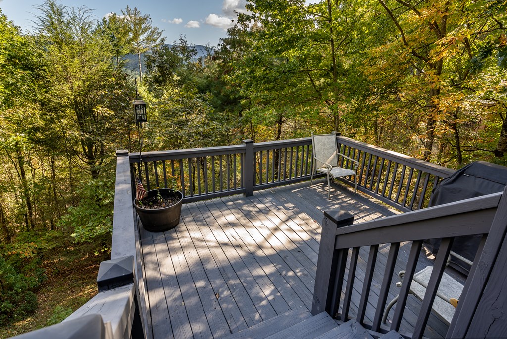 541 Mountain View Circle Blue Ridge, GA 30513 - Photo 32 of 38 Gallery Image 32
