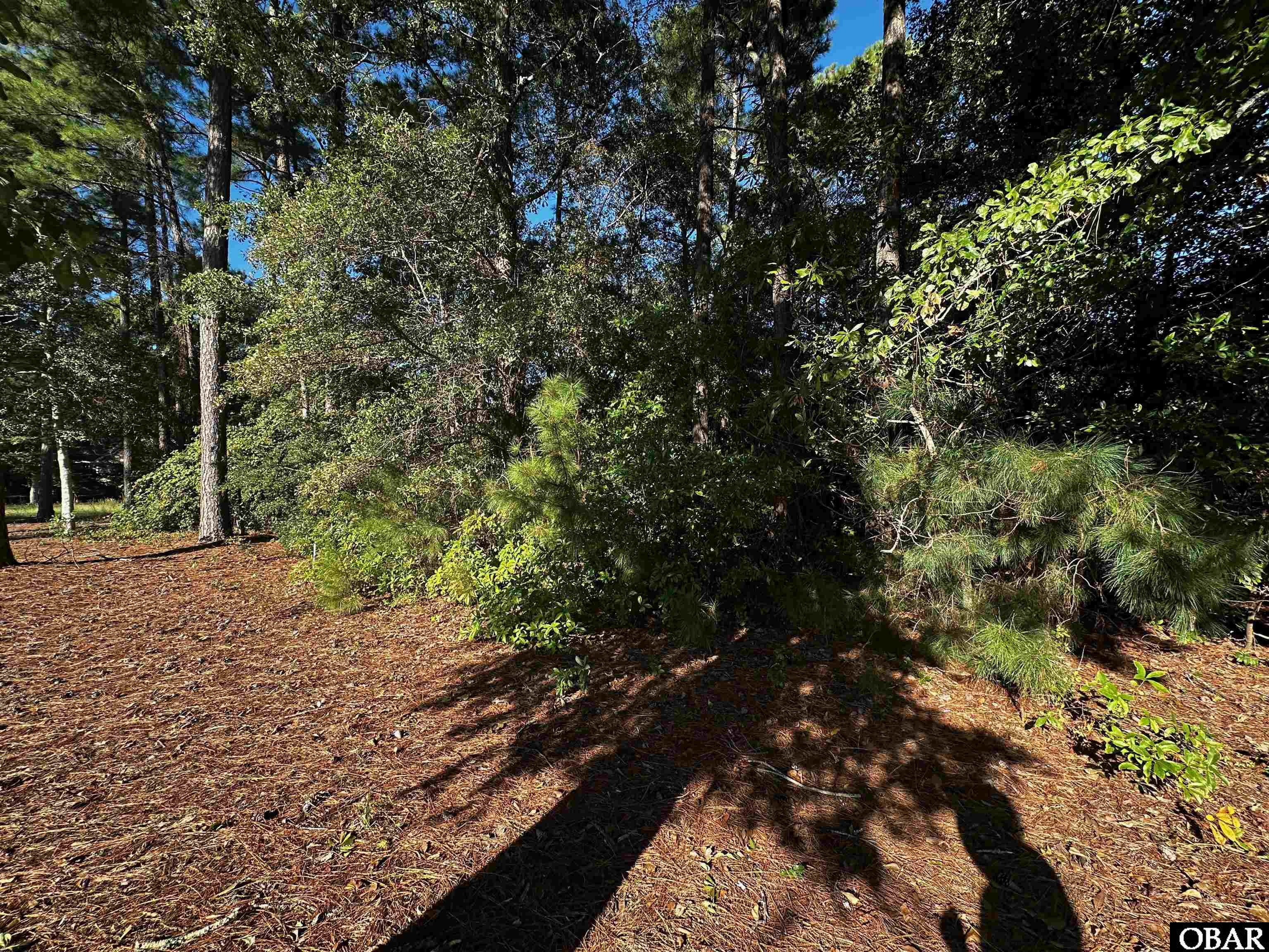 149 Long Point Circle Powells Point, NC 27966 - Photo 9 of 28