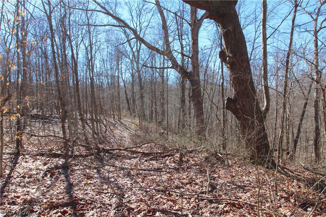 1770 Coon Run Road Lower Salem, OH 45745 - Photo 11 of 30 Gallery Image 11