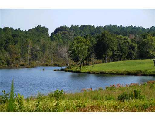 Lot 11 Lot Road Lucedale, MS 39452 - Photo 4 of 34 Additional Photo