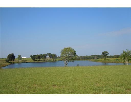 Lot 11 Lot Road Lucedale, MS 39452 - Photo 10 of 34 Additional Photo