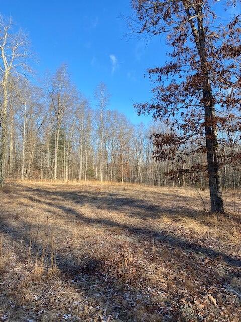 142 Cole Road Deer Lodge, TN 37726 - Photo 42 of 77 20220322195755071346000000-o