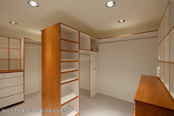 a view of walk in closet with empty racks