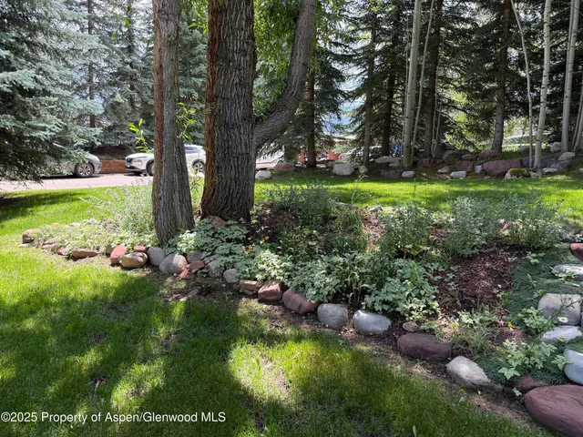 a view of a garden with a bench