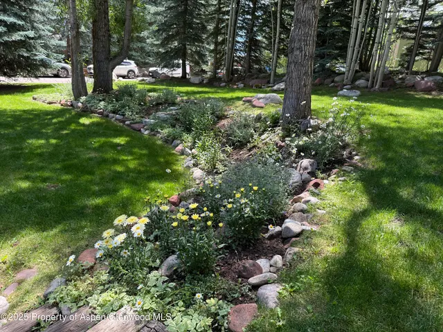 a view of a tree with a yard