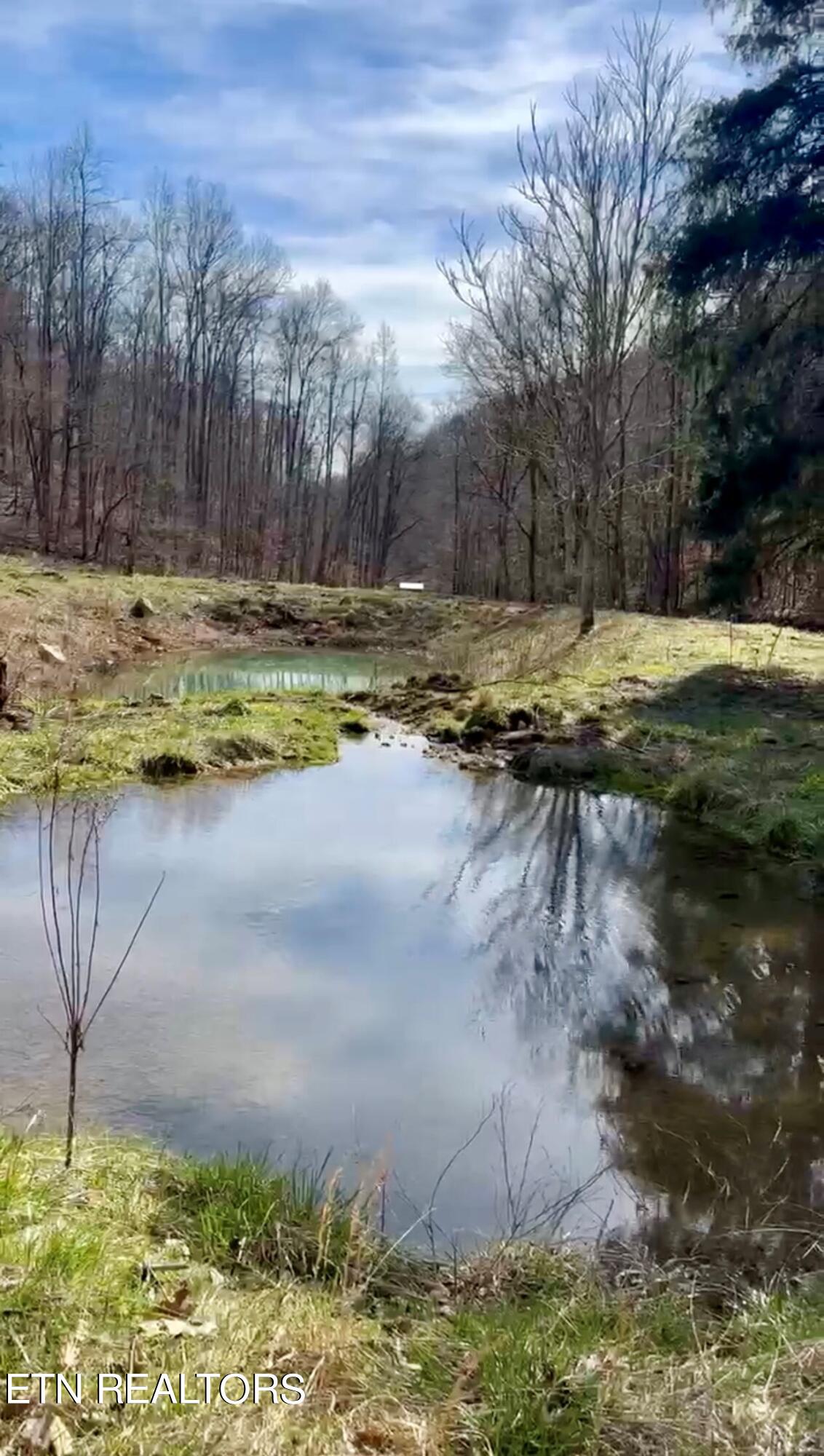 1088 Jones Ridge Road Speedwell, TN 37870 - Photo 40 of 53 5