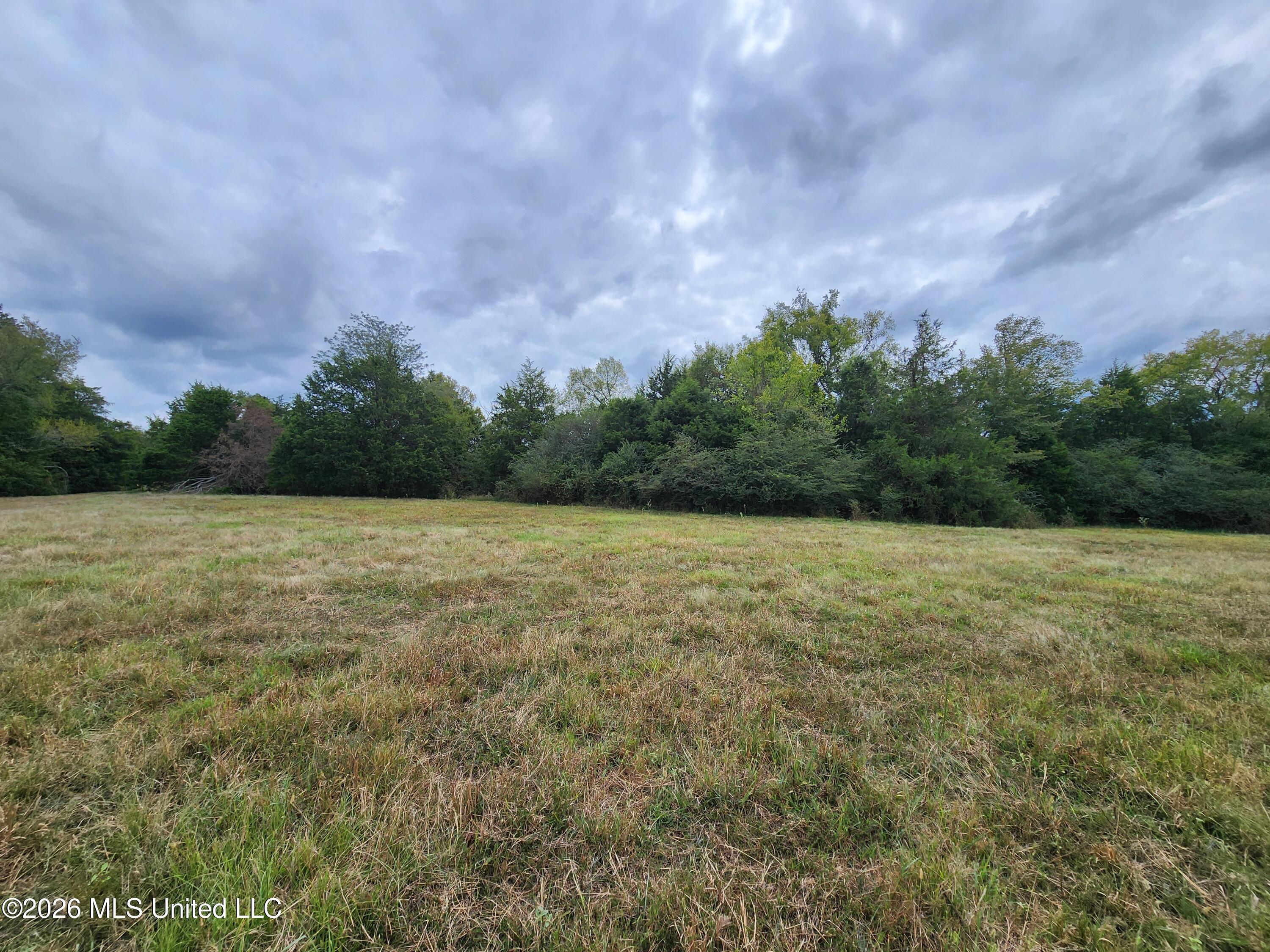 11.1 Bub Jamison Road Coldwater, MS 38618 - Photo 6 of 12 20260924_123947