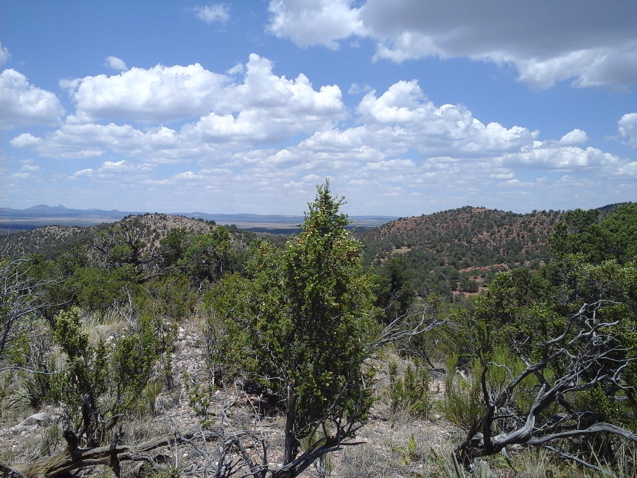 Lot 117 Arizona Road Ash Fork, AZ 86320 - Photo 1 of 19 20190727_130105