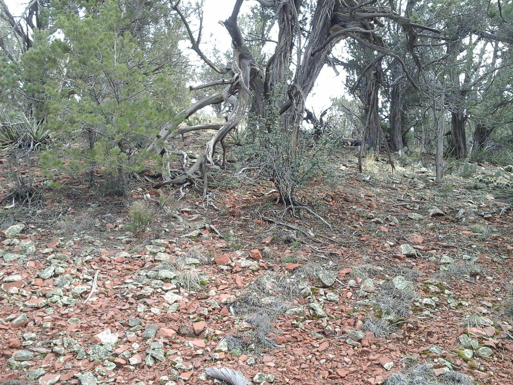 Lot 117 Arizona Road Ash Fork, AZ 86320 - Photo 17 of 19 20190326_150431