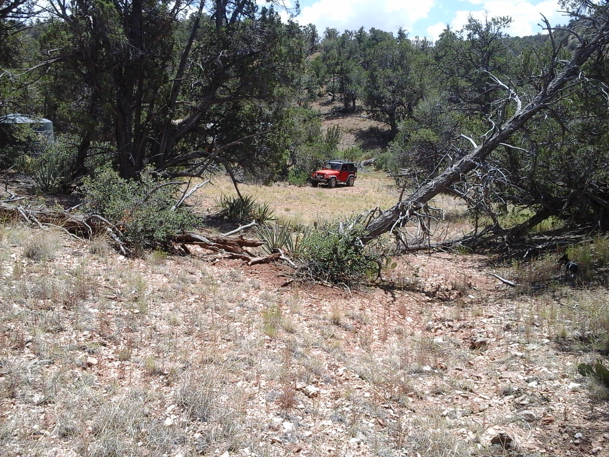 Lot 117 Arizona Road Ash Fork, AZ 86320 - Photo 3 of 19 20190727_130932