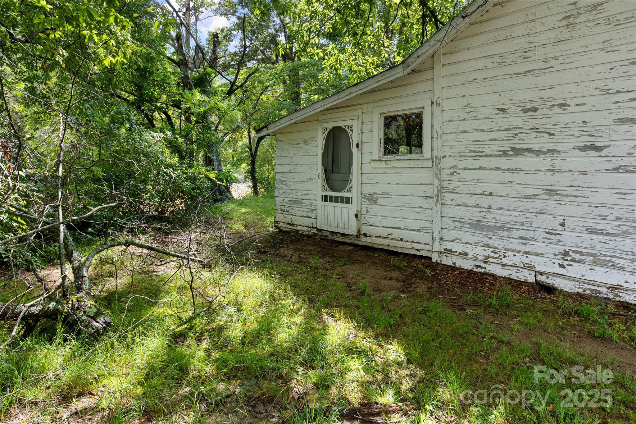 9521 Cruso Road Canton, NC 28716 - Photo 45 of 46